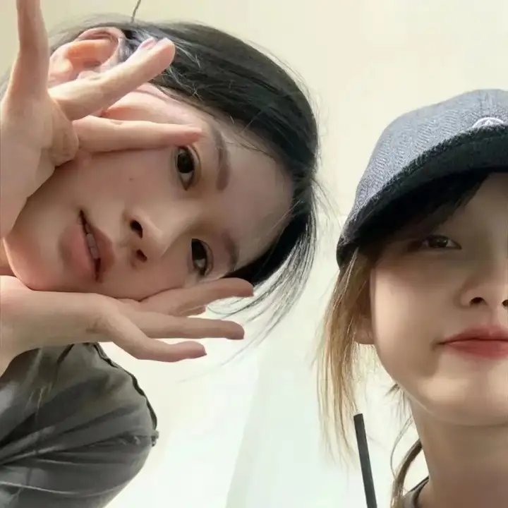 怪趣群鸟封面